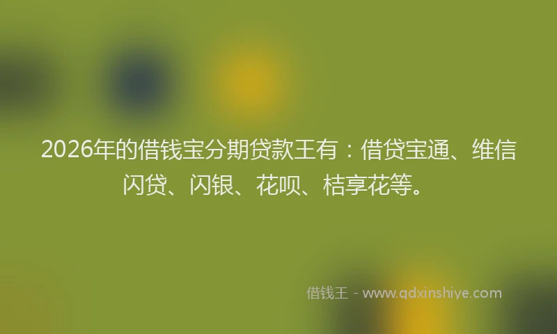 2026年的借钱宝分期贷款王有：借贷宝通、维信闪贷、闪银、花呗、桔享花等。