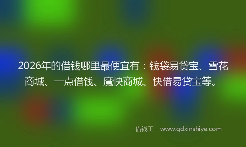 2026年的借钱哪里最便宜有:钱袋易贷宝、雪花商城、一点借钱、魔快商城、快借易贷宝等。