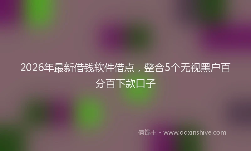 2026年最新借钱软件借点，整合5个无视黑户百分百下款口子