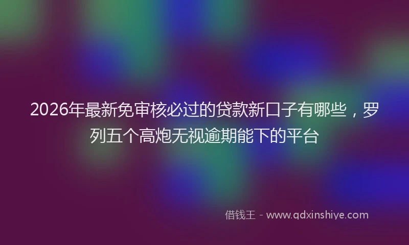 2026年最新免审核必过的贷款新口子有哪些,罗列五个高炮无视逾期能下的平台