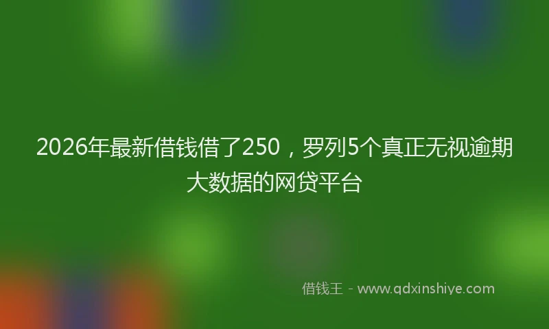 2026年最新借钱借了250，罗列5个真正无视逾期大数据的网贷平台