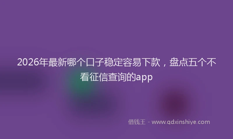 2026年最新哪个口子稳定容易下款，盘点五个不看征信查询的app