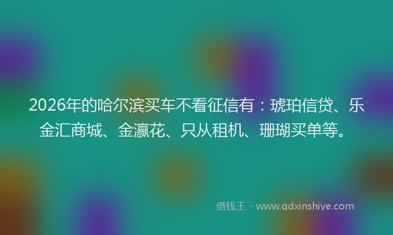 2026年的哈尔滨买车不看征信有：琥珀信贷、乐金汇商城、金瀛花、只从租机、珊瑚买单等。