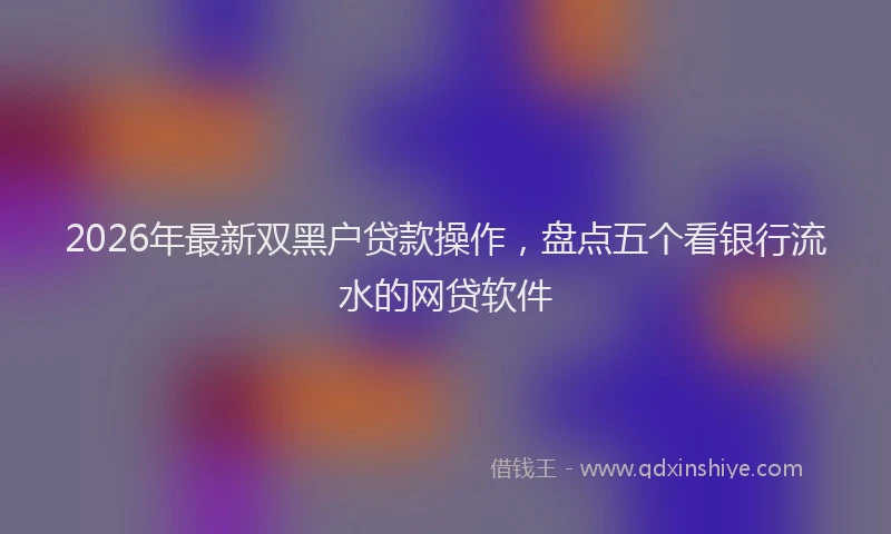 2026年最新双黑户贷款操作，盘点五个看银行流水的网贷软件
