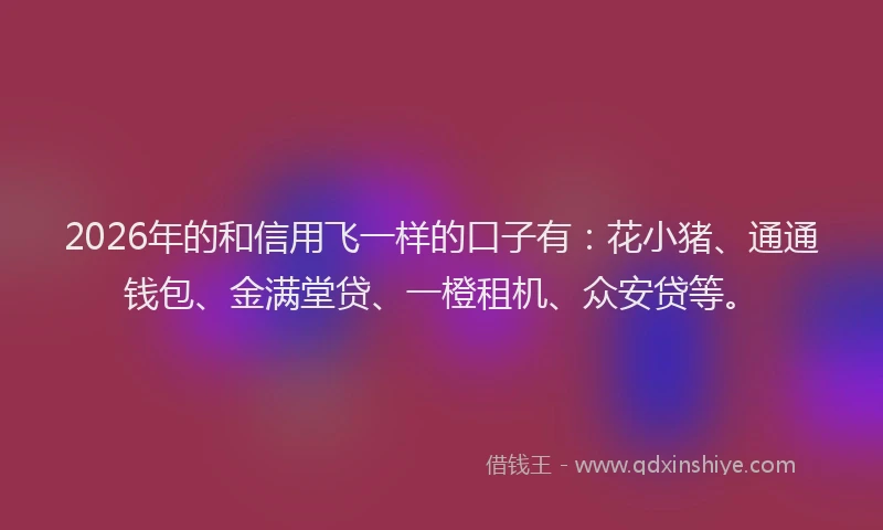 2026年的和信用飞一样的口子有:花小猪、通通钱包、金满堂贷、一橙租机、众安贷等。