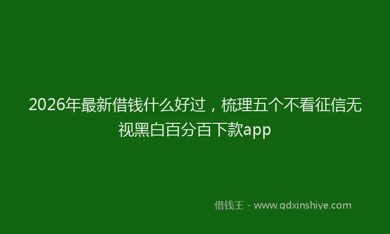 2026年最新借钱什么好过，梳理五个不看征信无视黑白百分百下款app