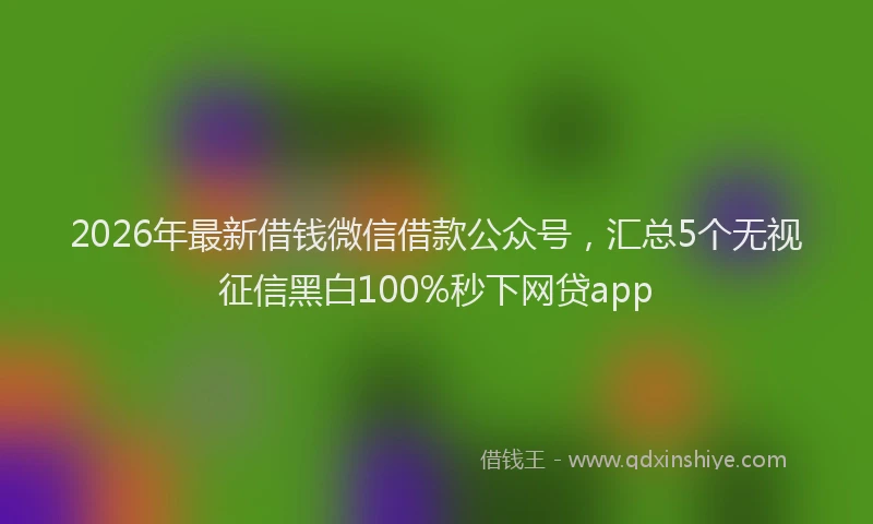 2026年最新借钱微信借款公众号，汇总5个无视征信黑白100%秒下网贷app