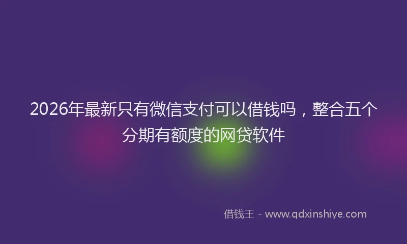 2026年最新只有微信支付可以借钱吗，整合五个分期有额度的网贷软件