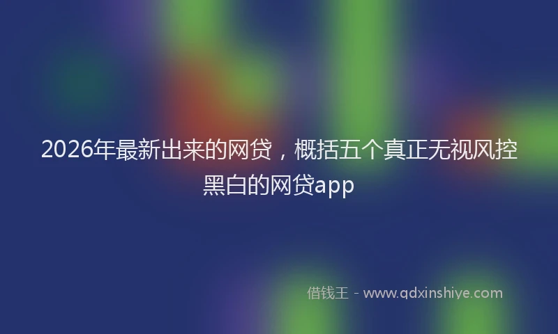 2026年最新出来的网贷，概括五个真正无视风控黑白的网贷app