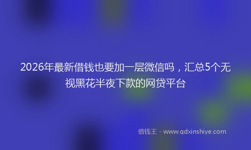 2026年最新借钱也要加一层微信吗，汇总5个无视黑花半夜下款的网贷平台