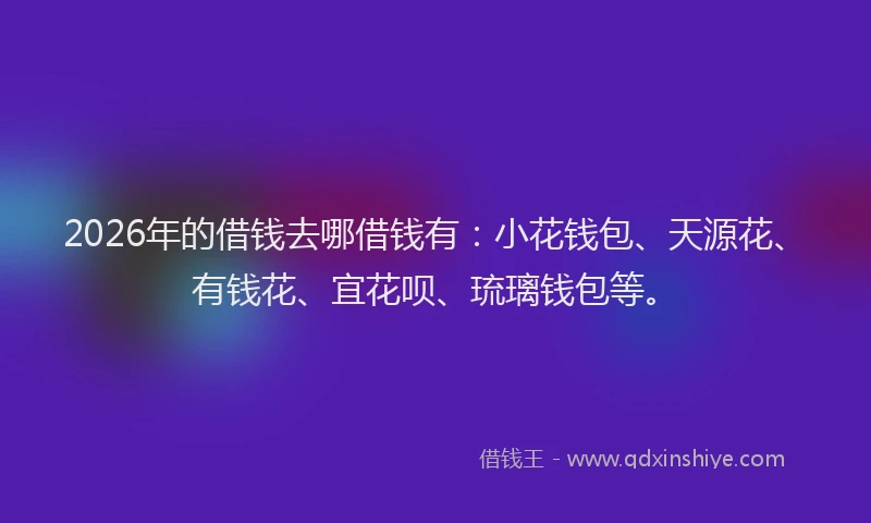 2026年的借钱去哪借钱有：小花钱包、天源花、有钱花、宜花呗、琉璃钱包等。