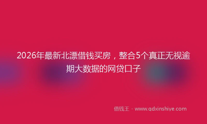 2026年最新北漂借钱买房，整合5个真正无视逾期大数据的网贷口子