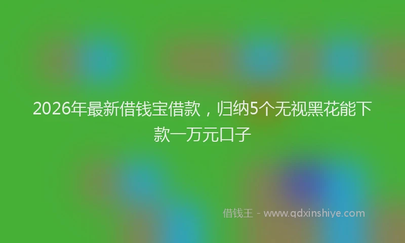 2026年最新借钱宝借款，归纳5个无视黑花能下款一万元口子