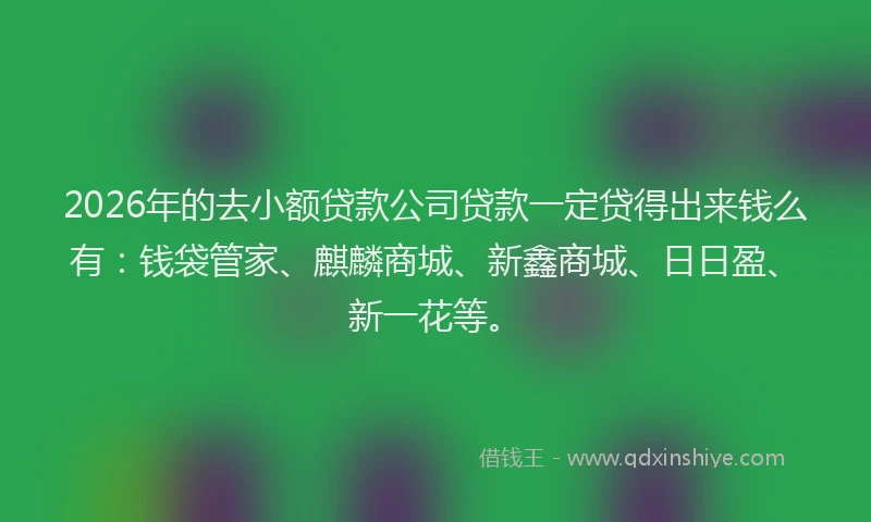 2026年的去小额贷款公司贷款一定贷得出来钱么有：钱袋管家、麒麟商城、新鑫商城、日日盈、新一花等。