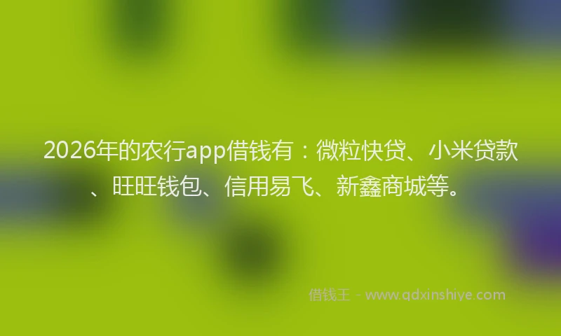 2026年的农行app借钱有：微粒快贷、小米贷款、旺旺钱包、信用易飞、新鑫商城等。