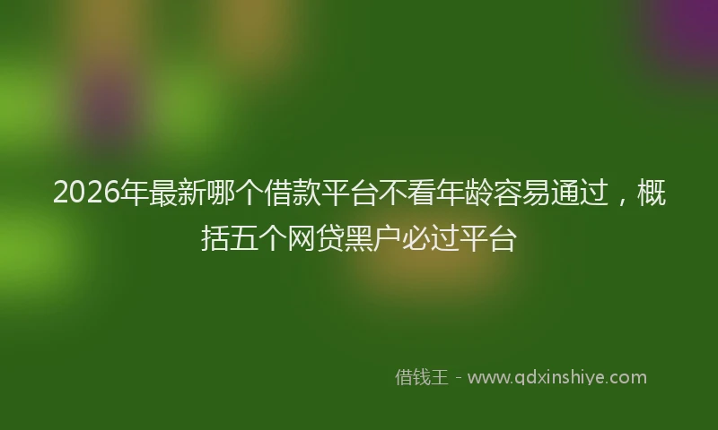 2026年最新哪个借款平台不看年龄容易通过，概括五个网贷黑户必过平台