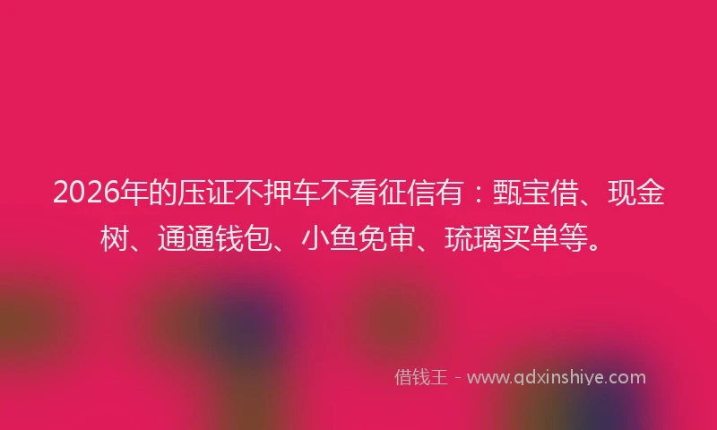 2026年的压证不押车不看征信有：甄宝借、现金树、通通钱包、小鱼免审、琉璃买单等。