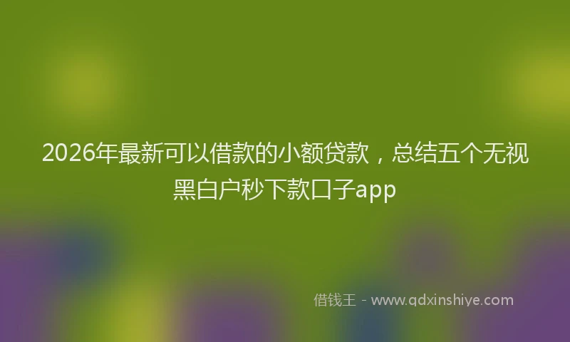 2026年最新可以借款的小额贷款，总结五个无视黑白户秒下款口子app