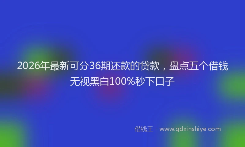 2026年最新可分36期还款的贷款，盘点五个借钱无视黑白100%秒下口子