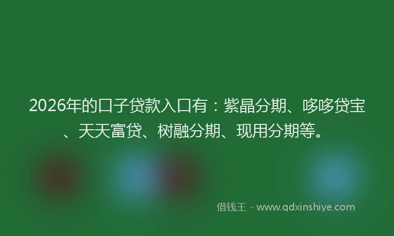 2026年的口子贷款入口有:紫晶分期、哆哆贷宝、天天富贷、树融分期、现用分期等。