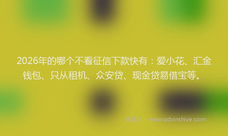 2026年的哪个不看征信下款快有:爱小花、汇金钱包、只从租机、众安贷、现金贷易借宝等。