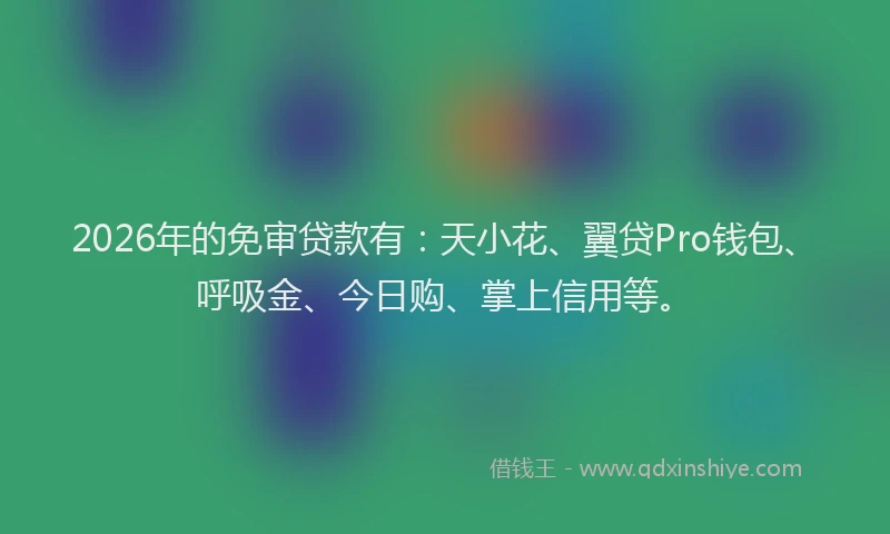 2026年的免审贷款有:天小花、翼贷Pro钱包、呼吸金、今日购、掌上信用等。