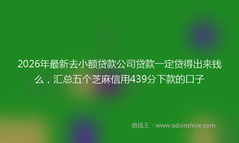 2026年最新去小额贷款公司贷款一定贷得出来钱么,汇总五个芝麻信用439分下款的口子