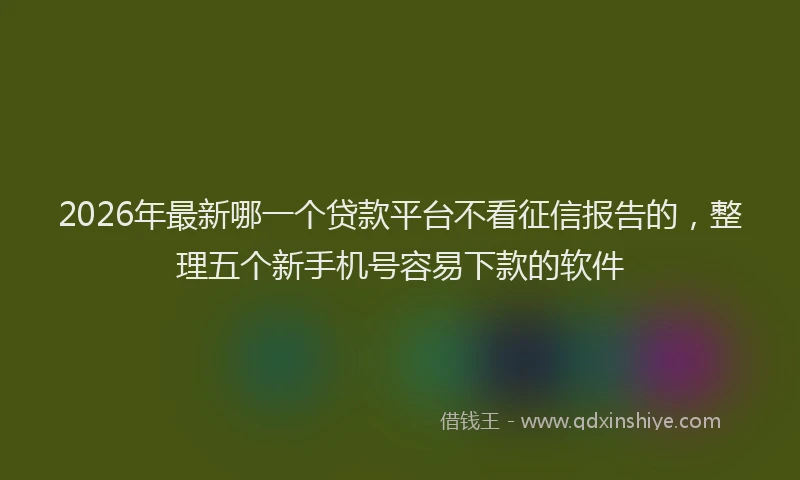 2026年最新哪一个贷款平台不看征信报告的，整理五个新手机号容易下款的软件