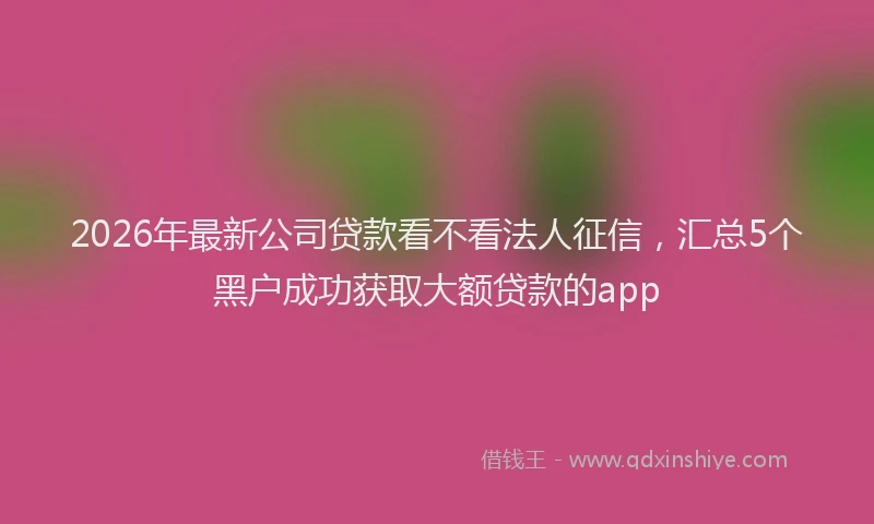 2026年最新公司贷款看不看法人征信，汇总5个黑户成功获取大额贷款的app
