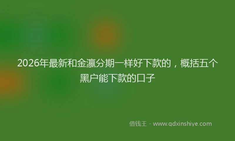 2026年最新和金瀛分期一样好下款的，概括五个黑户能下款的口子