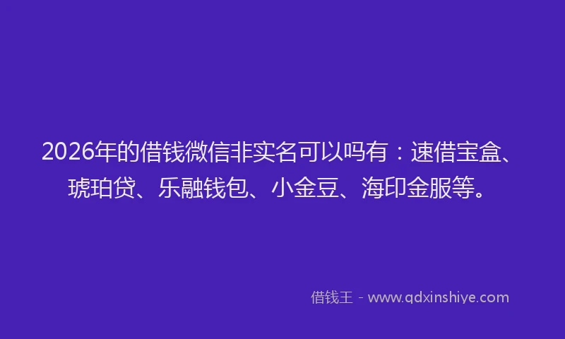 2026年的借钱微信非实名可以吗有：速借宝盒、琥珀贷、乐融钱包、小金豆、海印金服等。