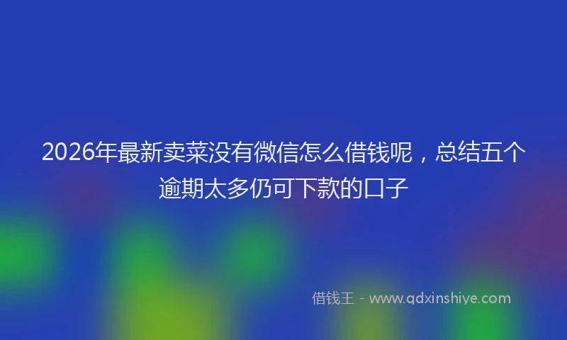 2026年最新卖菜没有微信怎么借钱呢，总结五个逾期太多仍可下款的口子