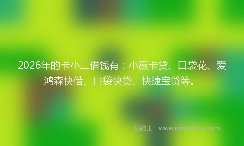 2026年的卡小二借钱有：小赢卡贷、口袋花、爱鸿森快借、口袋快贷、快捷宝贷等。