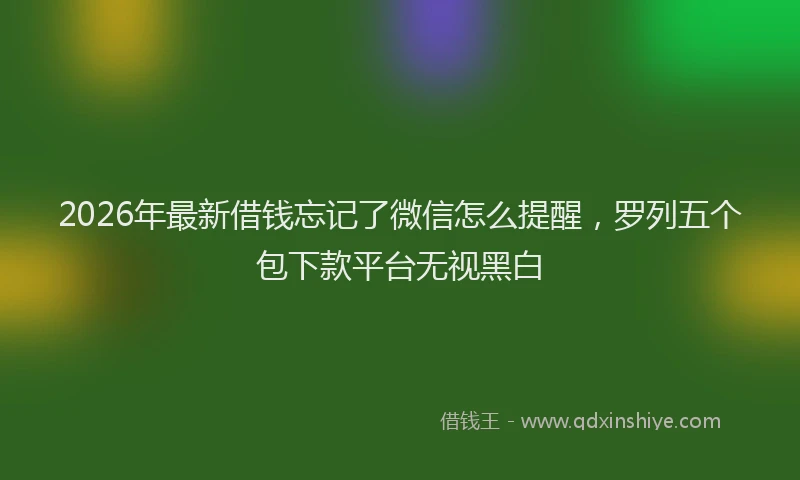 2026年最新借钱忘记了微信怎么提醒,罗列五个包下款平台无视黑白