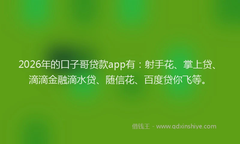 2026年的口子哥贷款app有：射手花、掌上贷、滴滴金融滴水贷、随信花、百度贷你飞等。