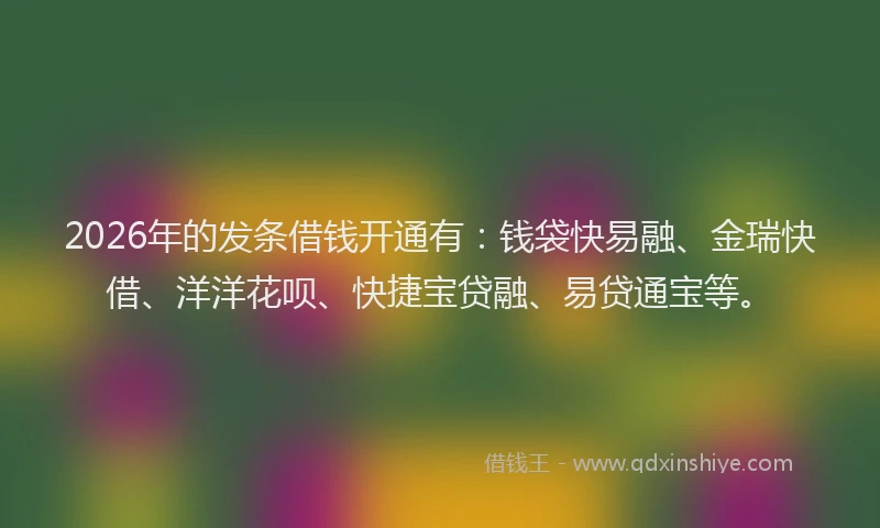 2026年的发条借钱开通有：钱袋快易融、金瑞快借、洋洋花呗、快捷宝贷融、易贷通宝等。