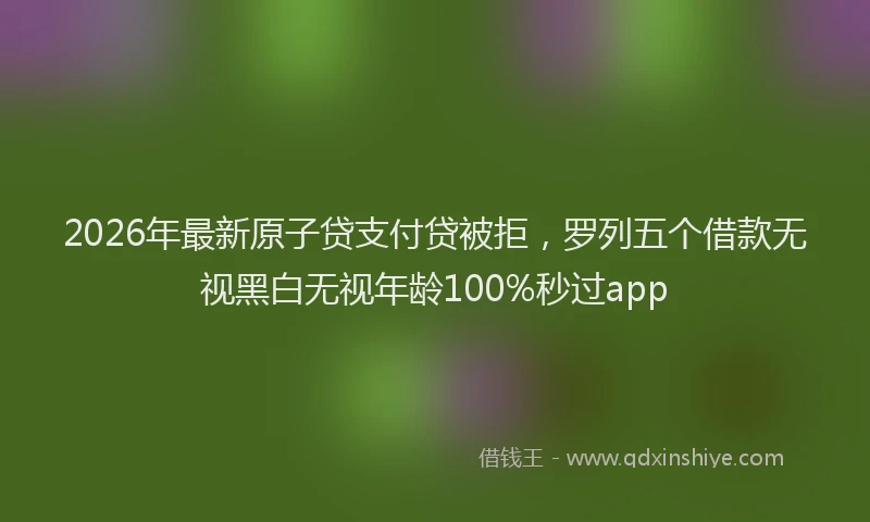2026年最新原子贷支付贷被拒，罗列五个借款无视黑白无视年龄100%秒过app