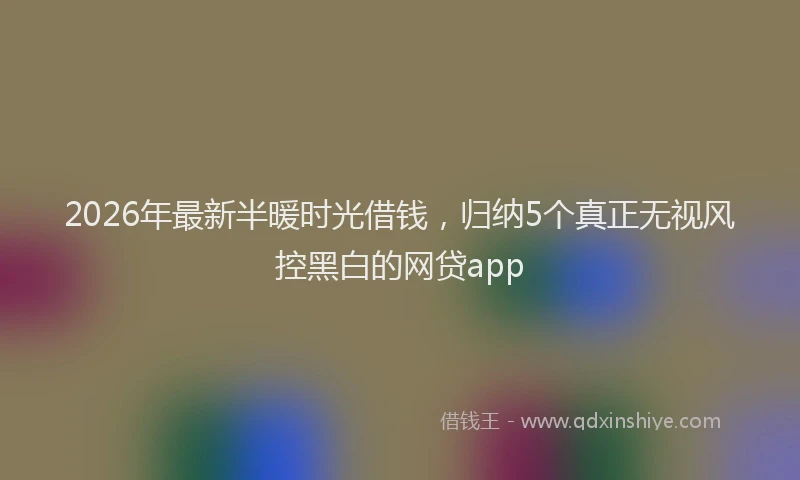 2026年最新半暖时光借钱，归纳5个真正无视风控黑白的网贷app