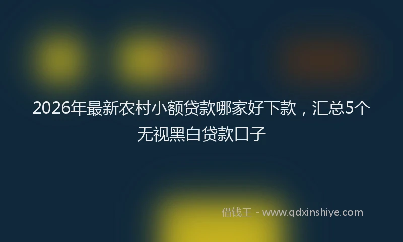 2026年最新农村小额贷款哪家好下款,汇总5个无视黑白贷款口子