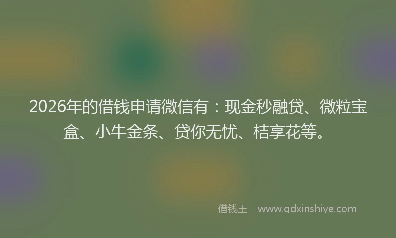 2026年的借钱申请微信有：现金秒融贷、微粒宝盒、小牛金条、贷你无忧、桔享花等。