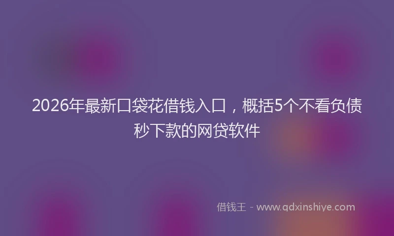 2026年最新口袋花借钱入口,概括5个不看负债秒下款的网贷软件