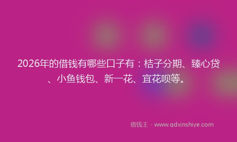 2026年的借钱有哪些口子有：桔子分期、臻心贷、小鱼钱包、新一花、宜花呗等。
