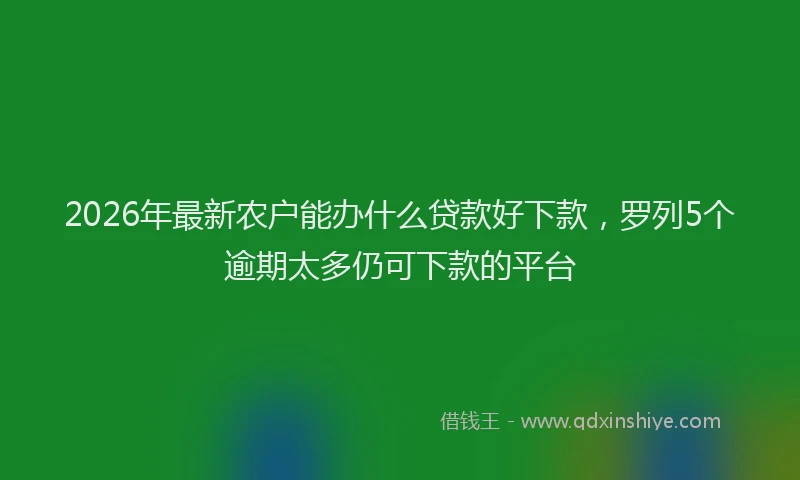 2026年最新农户能办什么贷款好下款，罗列5个逾期太多仍可下款的平台