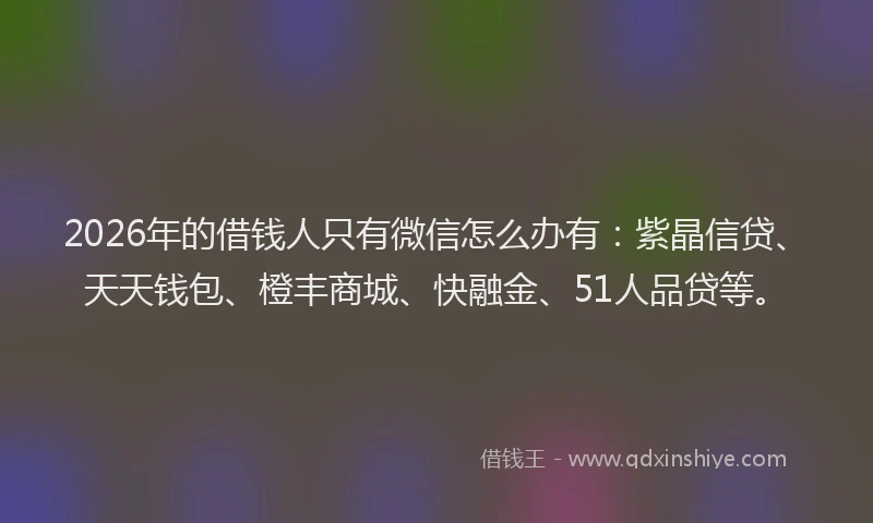 2026年的借钱人只有微信怎么办有:紫晶信贷、天天钱包、橙丰商城、快融金、51人品贷等。