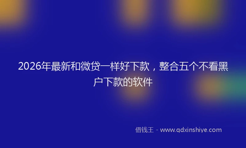 2026年最新和微贷一样好下款,整合五个不看黑户下款的软件