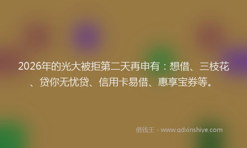 2026年的光大被拒第二天再申有：想借、三枝花、贷你无忧贷、信用卡易借、惠享宝券等。