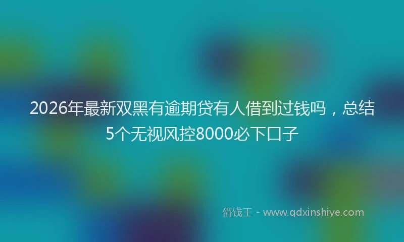 2026年最新双黑有逾期贷有人借到过钱吗，总结5个无视风控8000必下口子