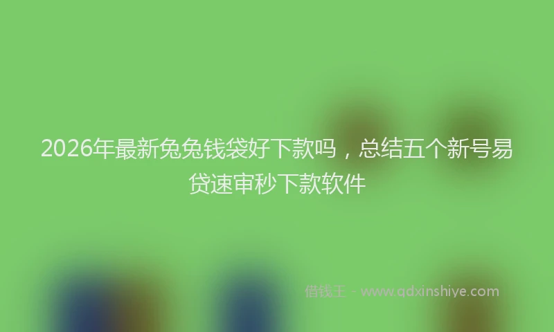 2026年最新兔兔钱袋好下款吗，总结五个新号易贷速审秒下款软件
