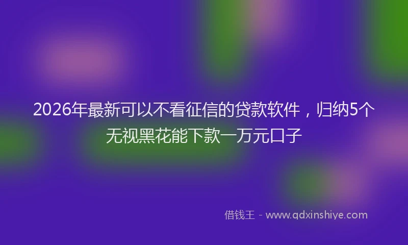 2026年最新可以不看征信的贷款软件,归纳5个无视黑花能下款一万元口子