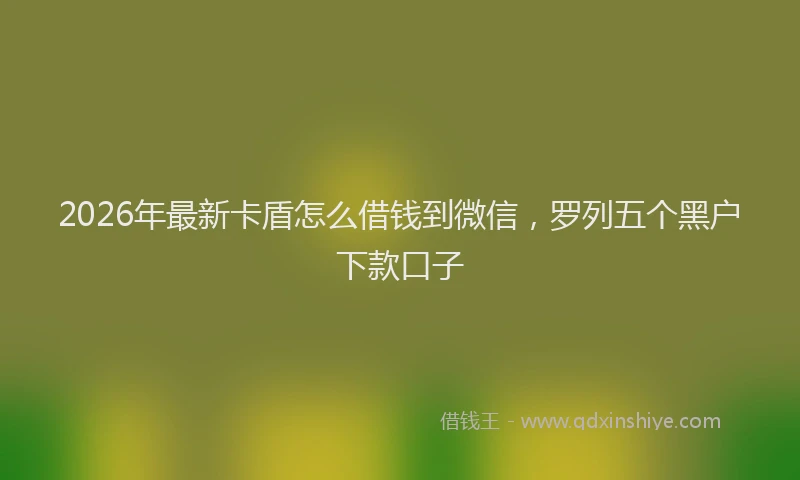 2026年最新卡盾怎么借钱到微信,罗列五个黑户下款口子
